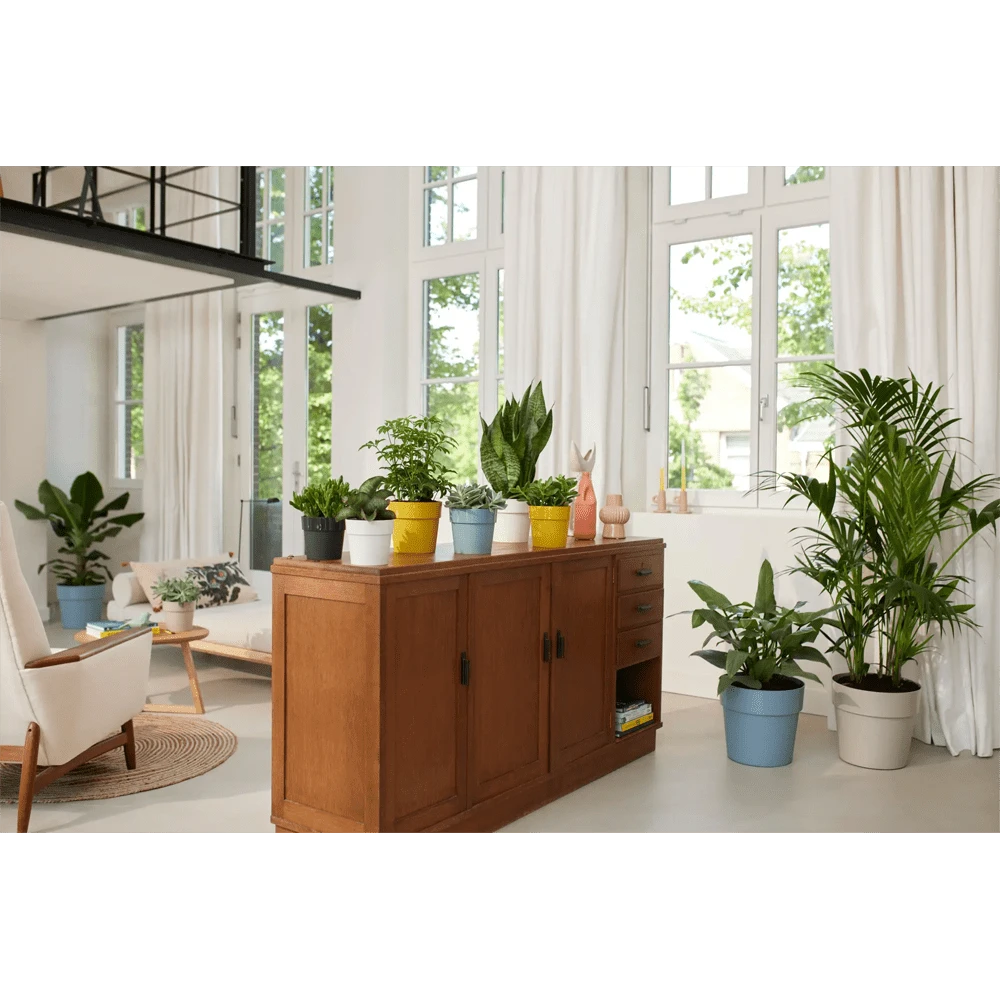 Bloempot Elho B.for Original Rond 25cm - Duifblauw 4 Bloempot Elho B.for Original Rond 25cm - Duifblauw - Afbeelding 4