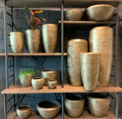 Plantenschaal Kos - D25 X H16cm - Goud -Decor Verkoop bloempot kos serie goud bloempot 3 1 5