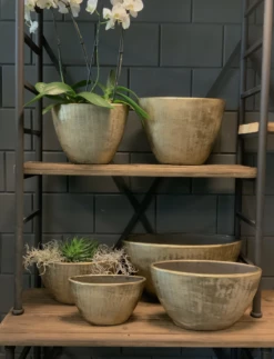 Bloempot Kos Ovaal - L55 X B23 X H29cm - Goud -Decor Verkoop bloempot kos serie ovaal goud bloempot 3 1