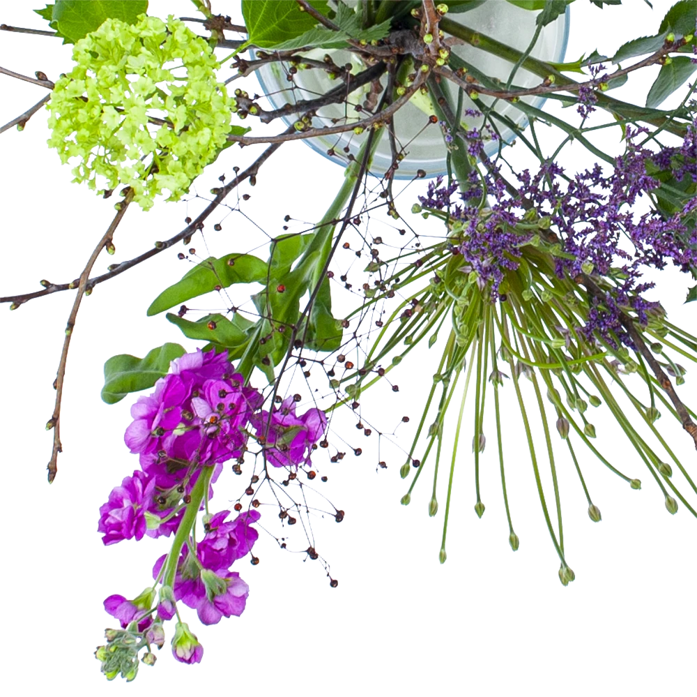 Boeket Biezen Middel 2 Boeket Biezen Middel - Afbeelding 2