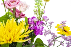 Boeket Eline Klein -Decor Verkoop boeket eline boeketten 3