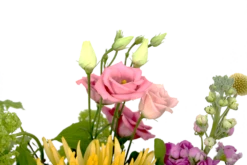 Boeket Eline Groot -Decor Verkoop boeket eline boeketten 4 1