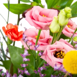 Boeket Kleurrijk Geplukt Klein -Decor Verkoop boeket kleurrijk geplukt boeketten 3