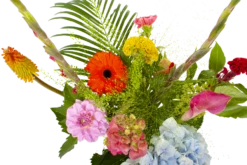 Boeket Lach Klein -Decor Verkoop boeket lach boeketten 3 1