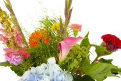 Boeket Lach Klein -Decor Verkoop boeket lach boeketten 4 1