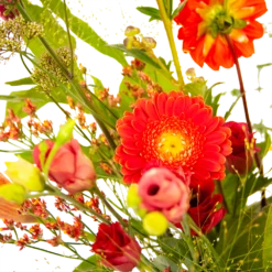 Boeket Plukgeluk Middel -Decor Verkoop boeket plukgeluk middel boeketten 3