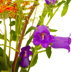 Boeket Plukgeluk Middel -Decor Verkoop boeket plukgeluk middel boeketten 4