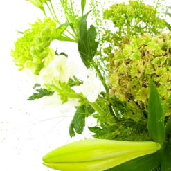 Boeket Puur Natuur Groot 8 Boeket Puur Natuur Groot -Decor Verkoop boeket puur natuur boeketten 3 1 1