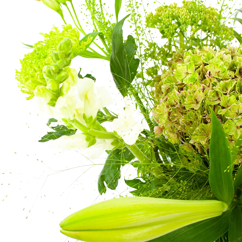 Boeket Puur Natuur Groot 3 Boeket Puur Natuur Groot - Afbeelding 3