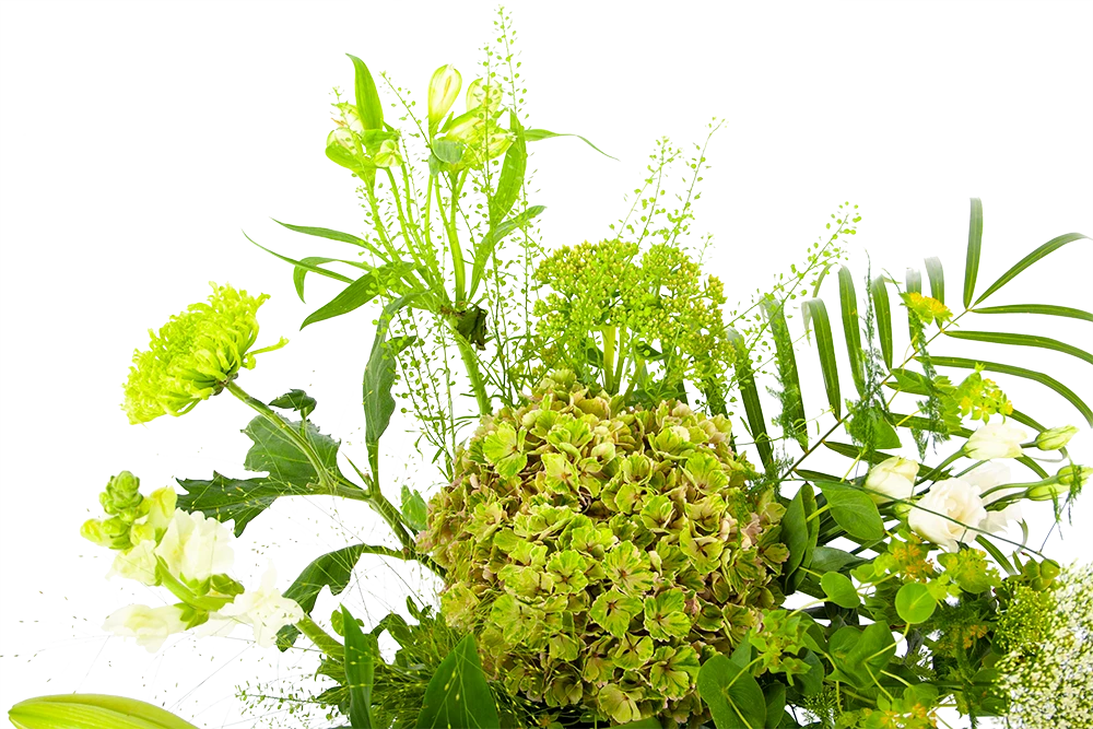 Boeket Puur Natuur Groot 4 Boeket Puur Natuur Groot - Afbeelding 4