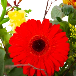 Boeket Speciale Verrassing Klein 7 Boeket Speciale Verrassing Klein -Decor Verkoop boeket speciale verrassing boeketten 3