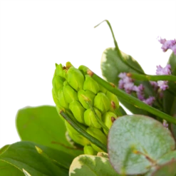 Boeket Vrolijk Seizoen Groot 7 Boeket Vrolijk Seizoen Groot -Decor Verkoop boeket vrolijk seizoen boeketten 3