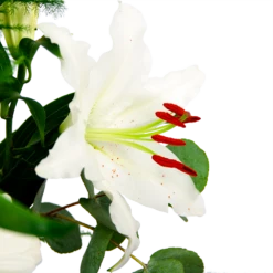 Boeket Witte Winter Klein -Decor Verkoop boeket witte winter boeketten 4