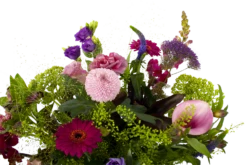 Boeket Zomerbries Groot 8 Boeket Zomerbries Groot -Decor Verkoop boeket zomerbries boeketten 3 5