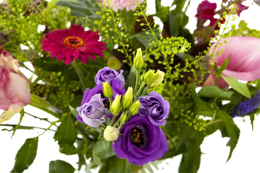 Boeket Zomerbries Groot 4 Boeket Zomerbries Groot - Afbeelding 4