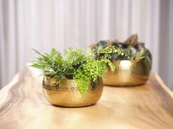 Plantenschaal Kody - D28 X H13cm - Goud -Decor Verkoop bowl kody gold d28 h13 schaal 7 12
