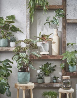 Bloempot Daan - D21.5 X H20.5cm - Blauw -Decor Verkoop daan pot rond blauw h20 5xd21 5cm bloempot 7 7