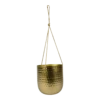 Hangpot Kody - D16 X H18cm - Goud