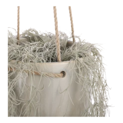 Hangpot Resa - D18,5 X H17cm - Lichtgrijs -Decor Verkoop hangpot resa d18 5 x h17cm lichtgrijs hangpot 3 1