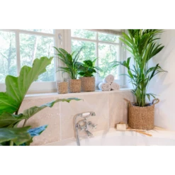 Plantenmand Joris - D30 X H27cm - Naturel -Decor Verkoop plantenmand joris naturel plantenmand 3 2