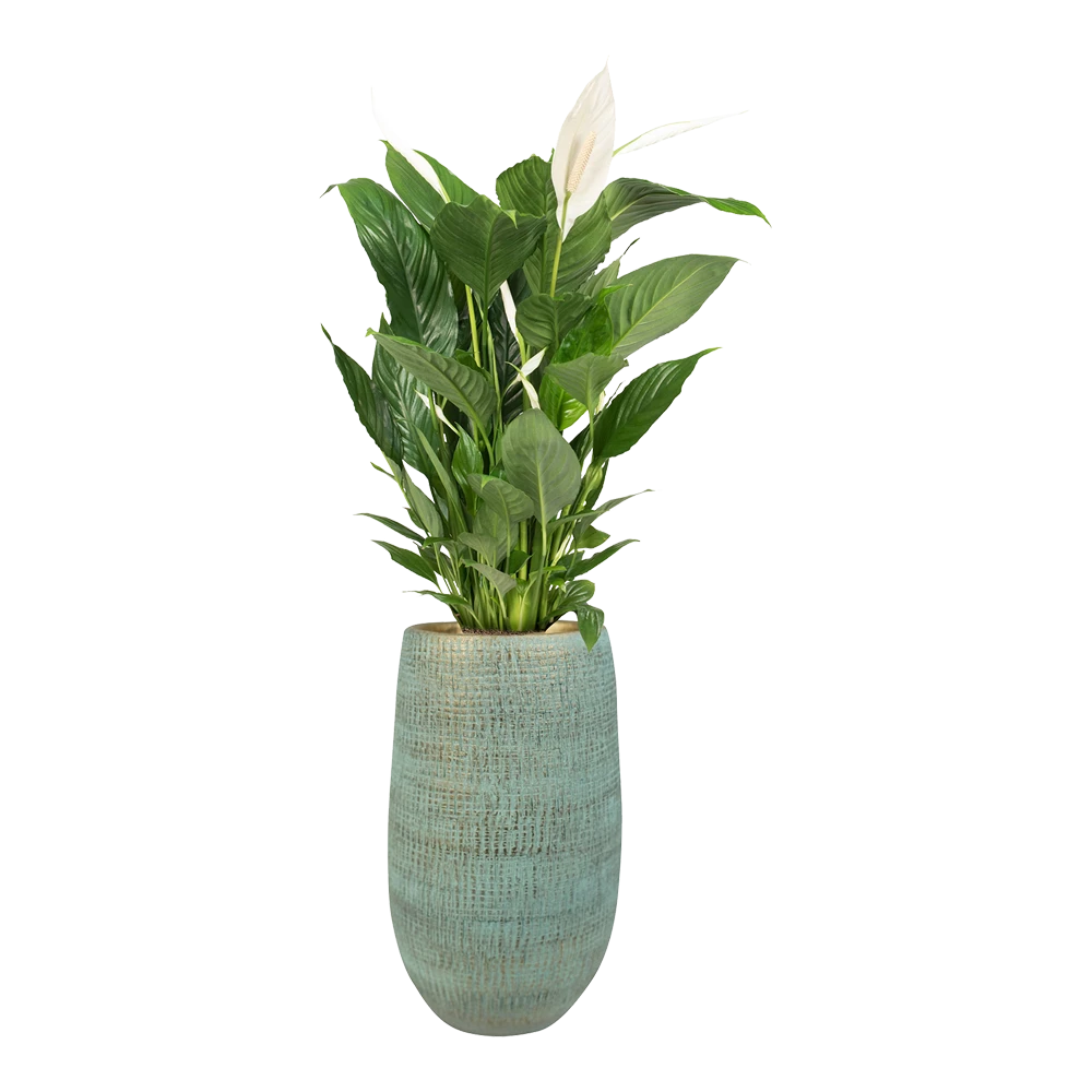 Bloempot Ryan Hoog - D18 X H30cm - Shiny Blue - Afbeelding 2