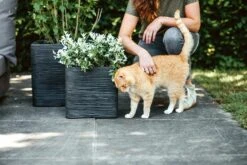 Capi Plantenbak Vierkant Nature Rib NL - L30 X B30 X H30cm - Zwart -Decor Verkoop pot vierkant rib nl 30x30x30 zwart plantenbak 7 8