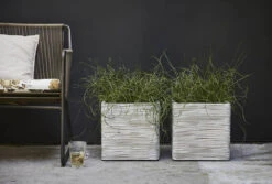 Capi Plantenbak Vierkant Nature Rib NL - L40 X B40 X H40cm - Ivoor 5 Capi Plantenbak Vierkant Nature Rib NL - L40 X B40 X H40cm - Ivoor -Decor Verkoop pot vierkant rib nl 40x40x40 ivoor plantenbak 7 8